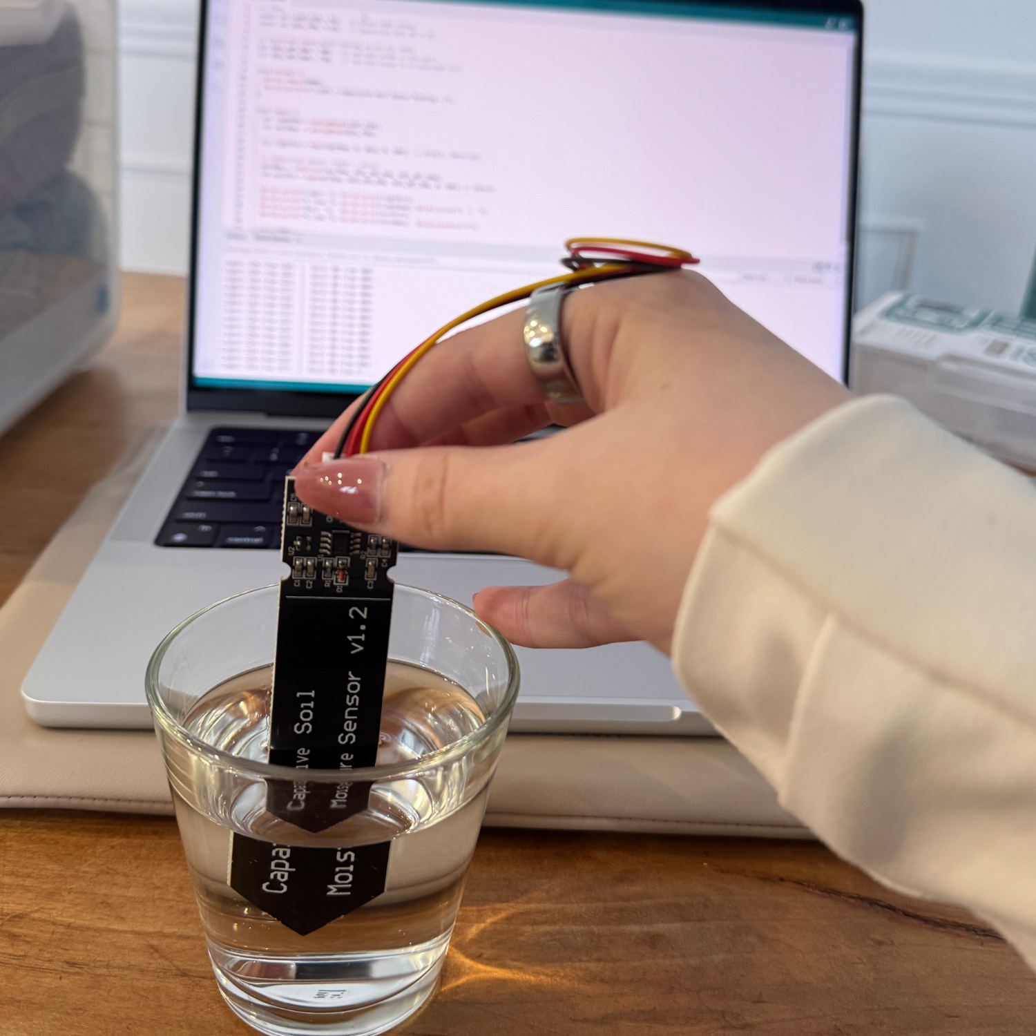 I tested out the soil moisture sensor and light sensor together.