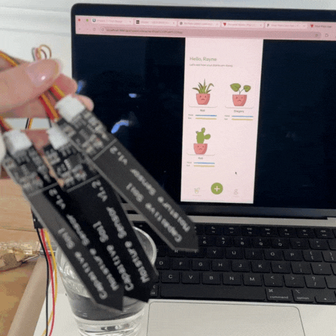 Once all my plants were added to the app I tested the functionality of the thirst levels by dipping the sensors in an out of water to ensure the data was changing with it. 